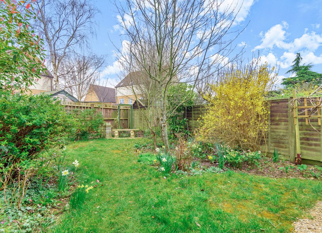 Property Image 9