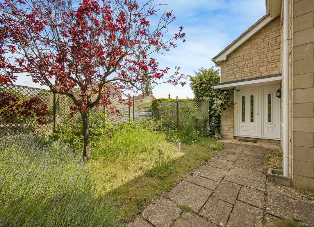 Property Image 14