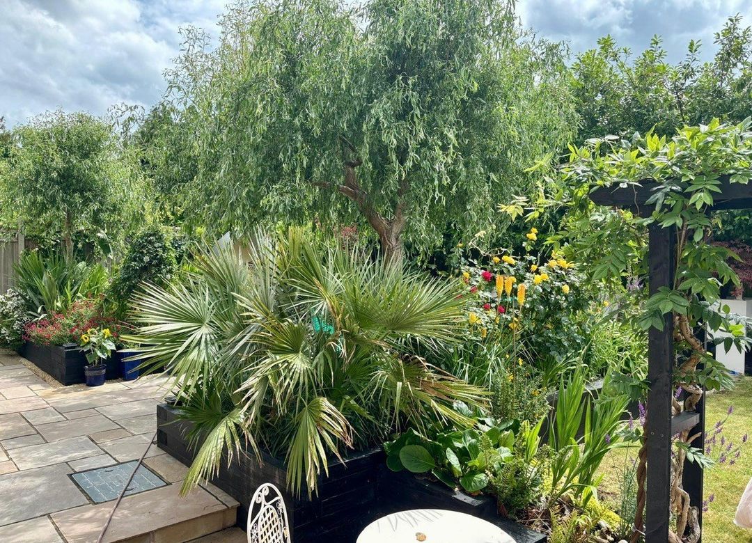 Property Image 24
