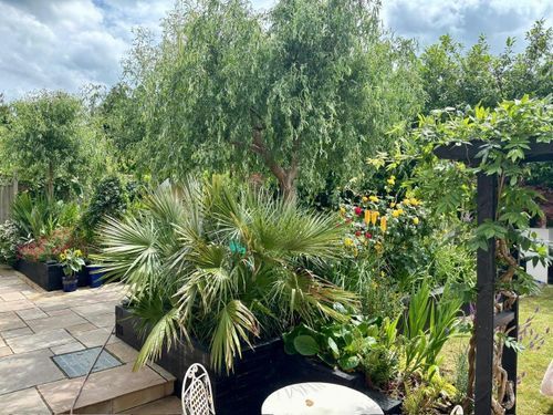 Property Image 24