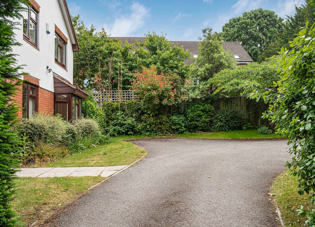 Property Image 18