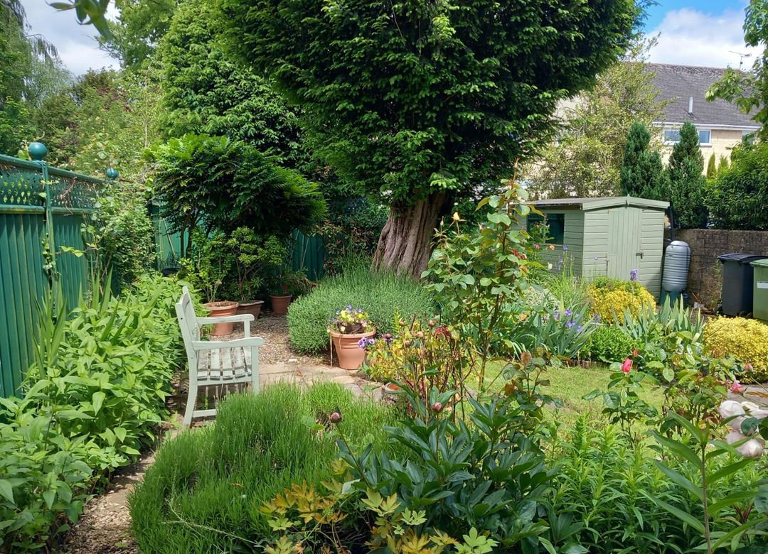 Property Image 14
