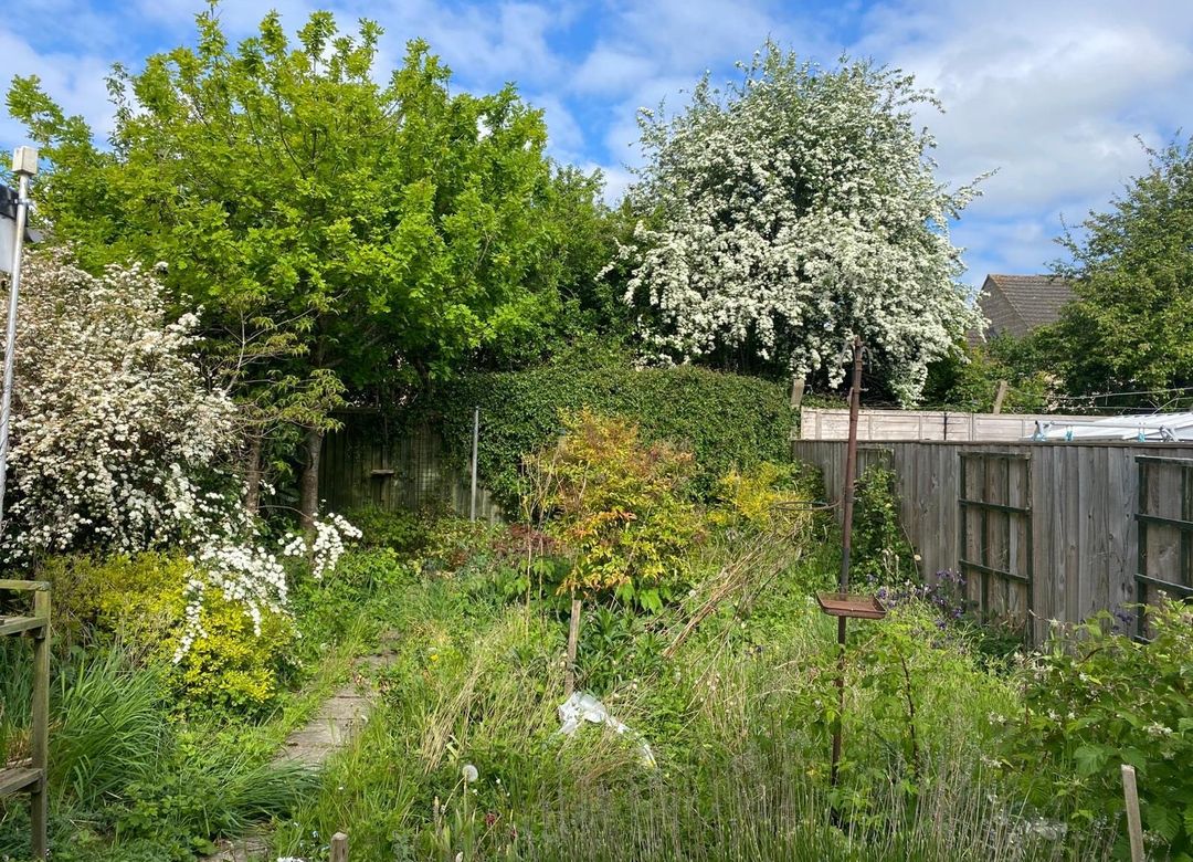 Property Image 14