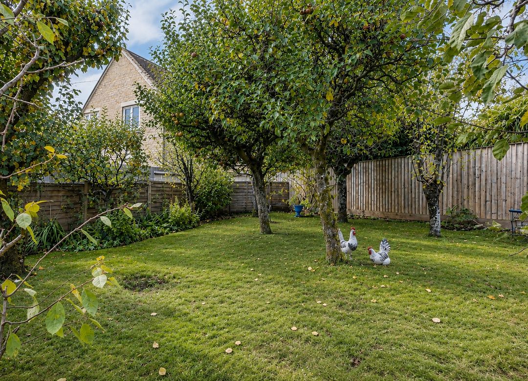 Property Image 9