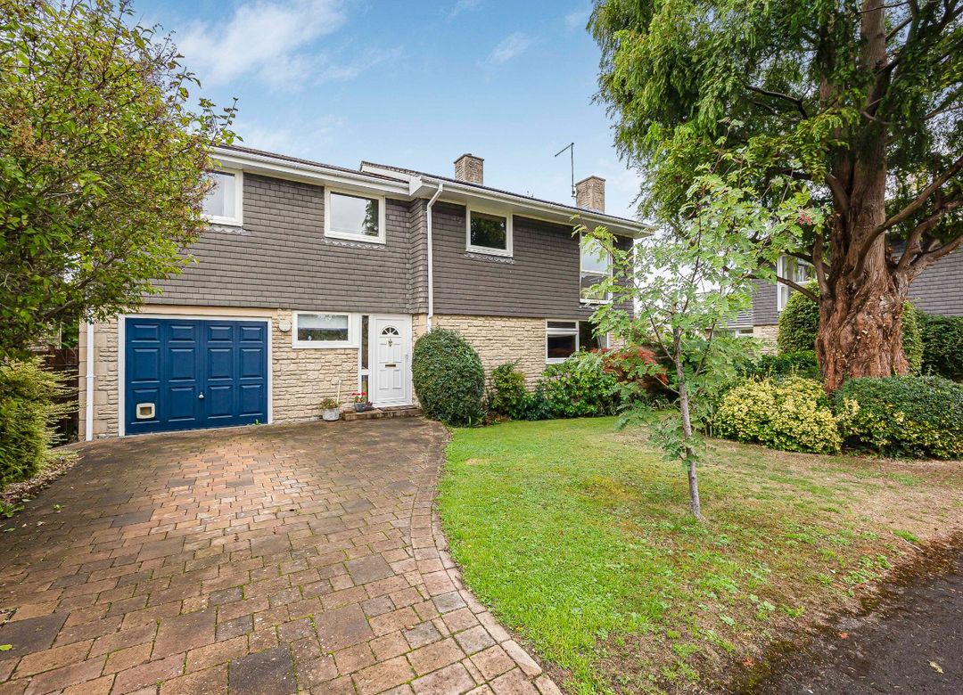 Property Image 0