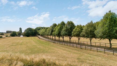 Property Image 44