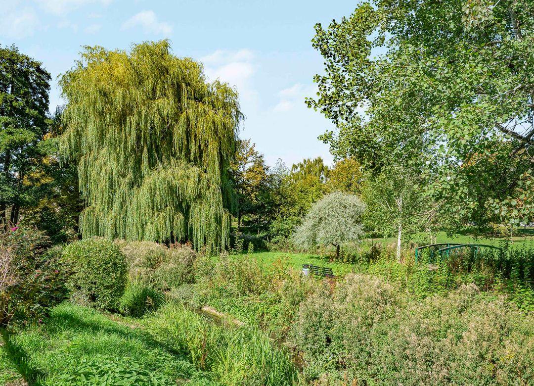 Property Image 9