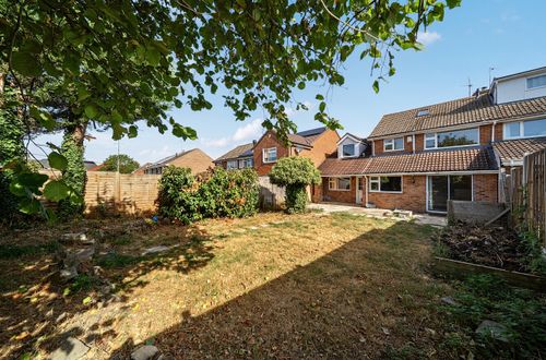 Property Image 20