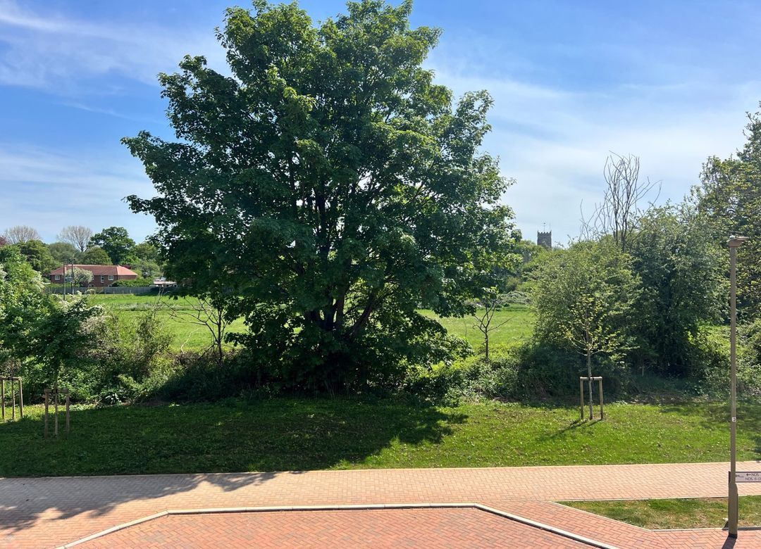 Property Image 20