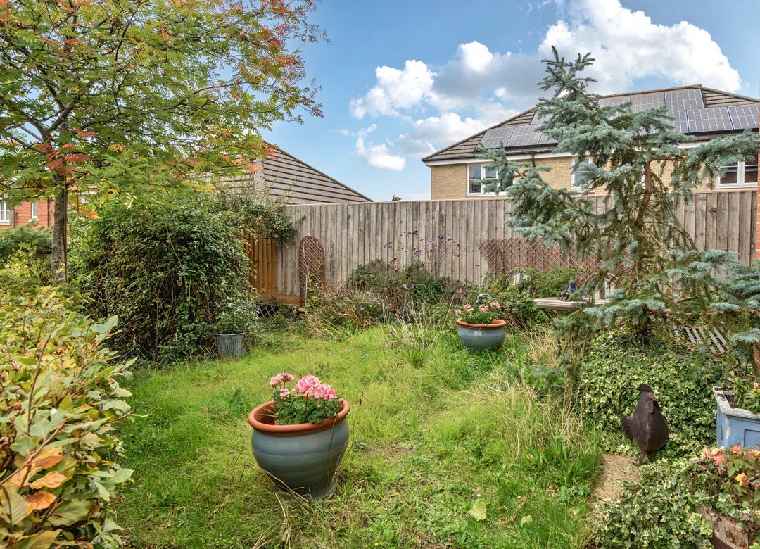 Property Image 16