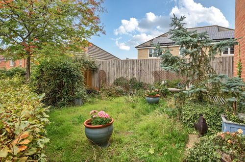 Property Image 16