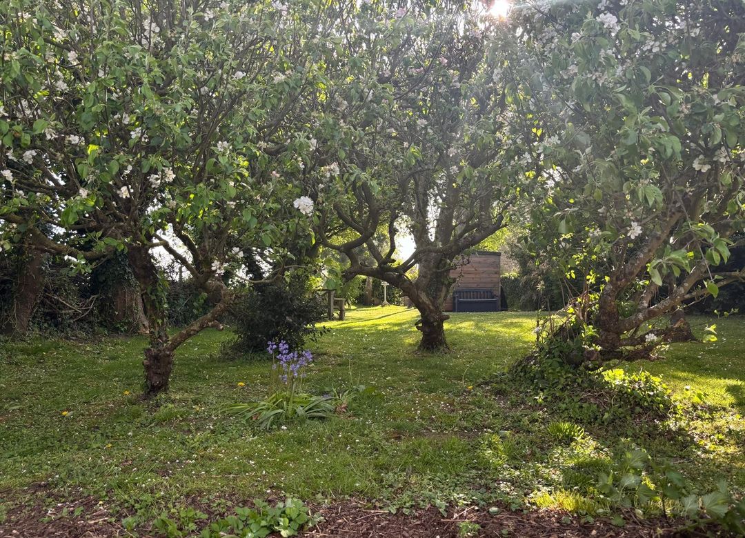 Property Image 21