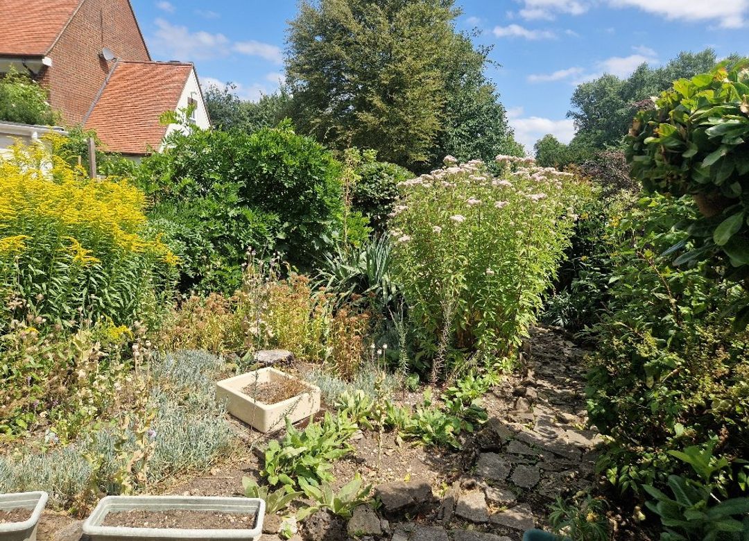 Property Image 14