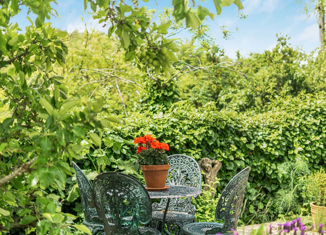 Property Image 21