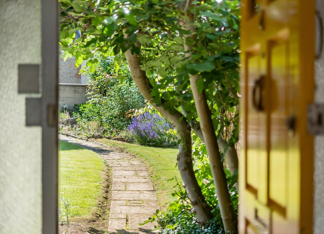 Property Image 14
