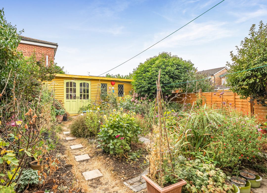 Property Image 14