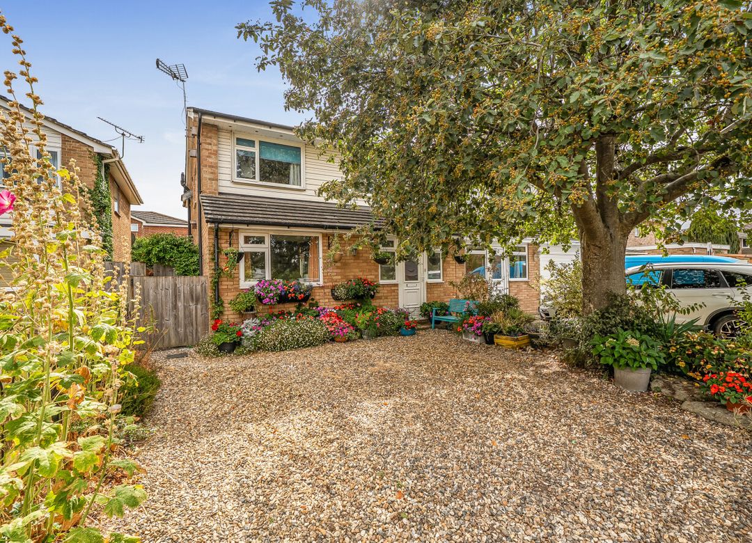 Property Image 0