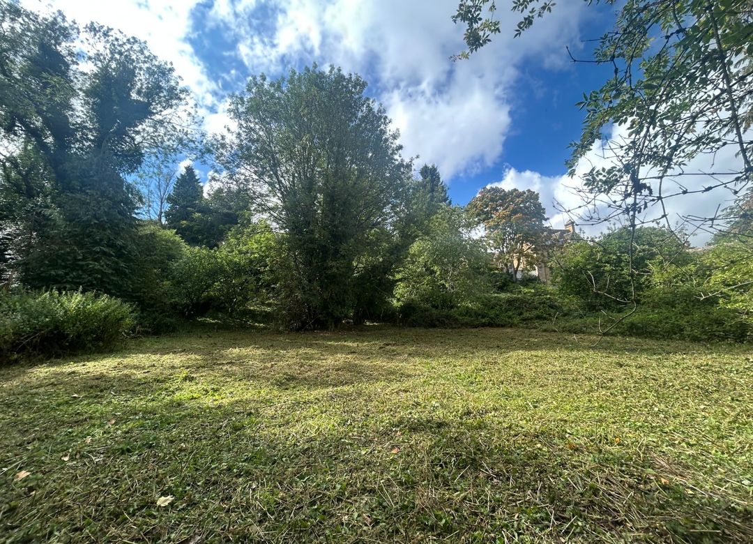 Property Image 0
