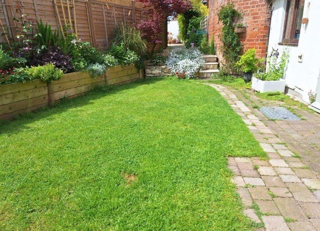 Property Image 9