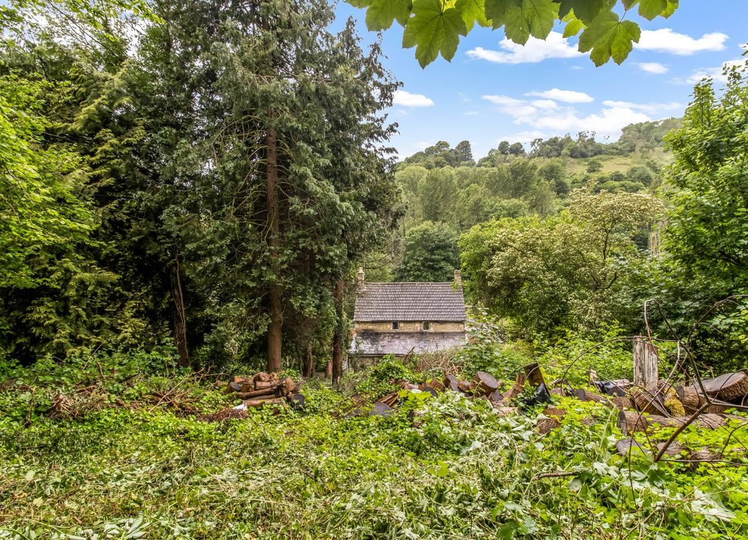 Property Image 31