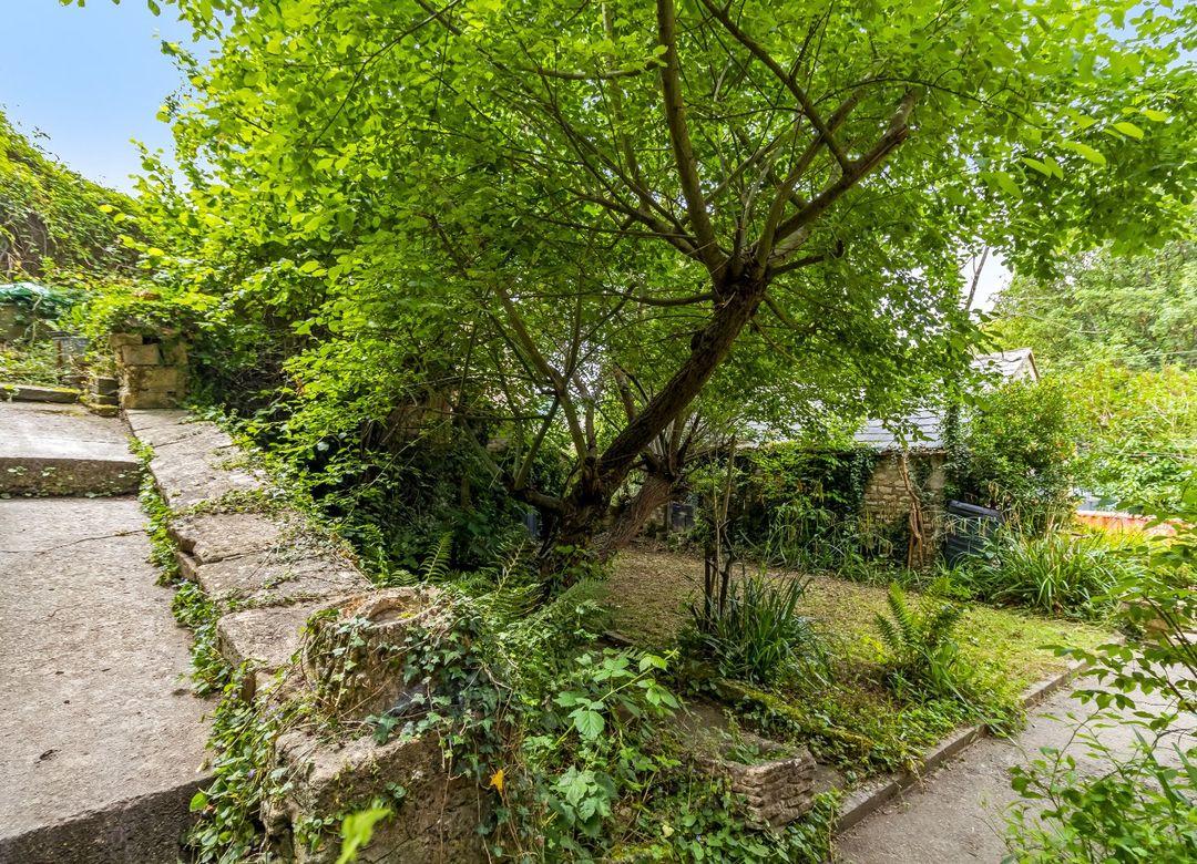 Property Image 28