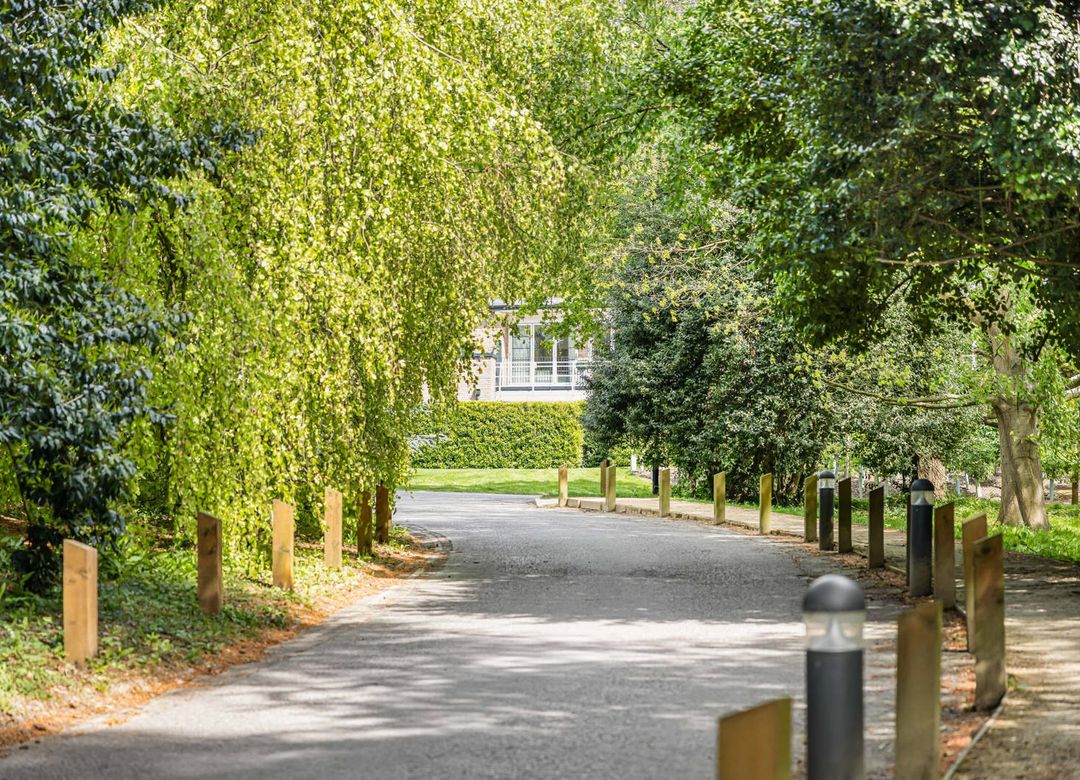 Property Image 23