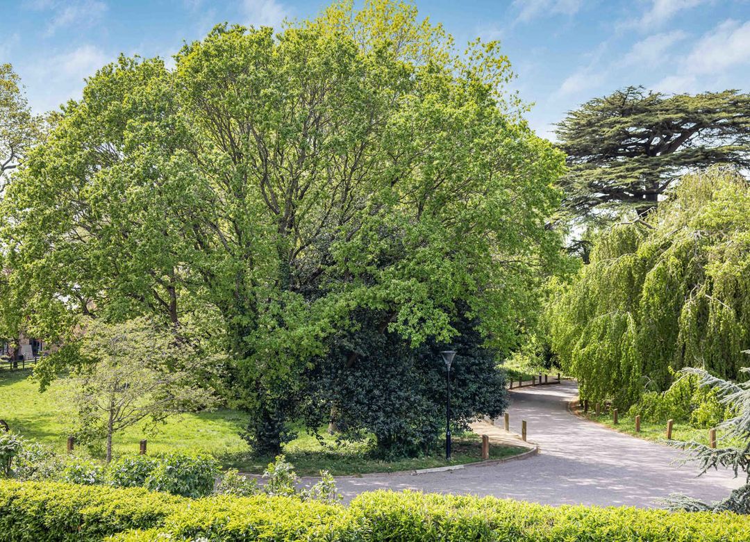 Property Image 21