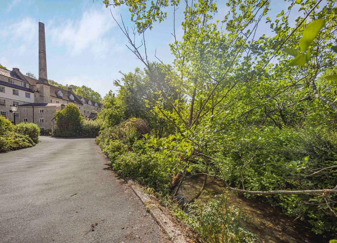 Property Image 18