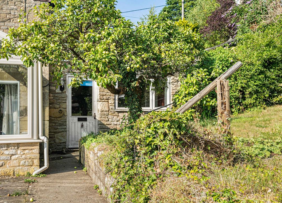Property Image 29
