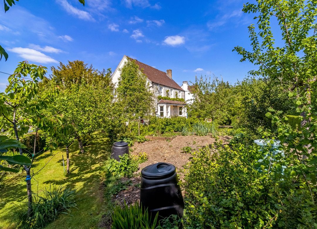 Property Image 39