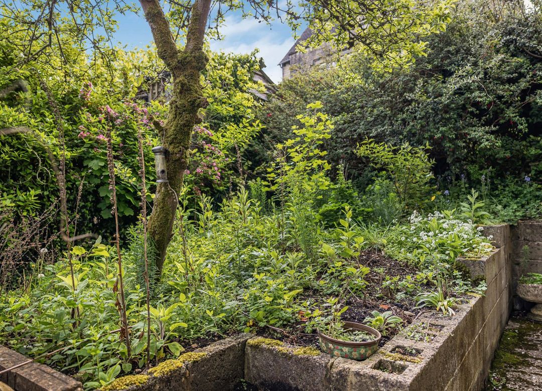 Property Image 22