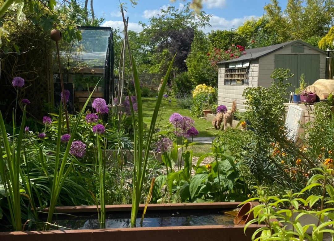 Property Image 19