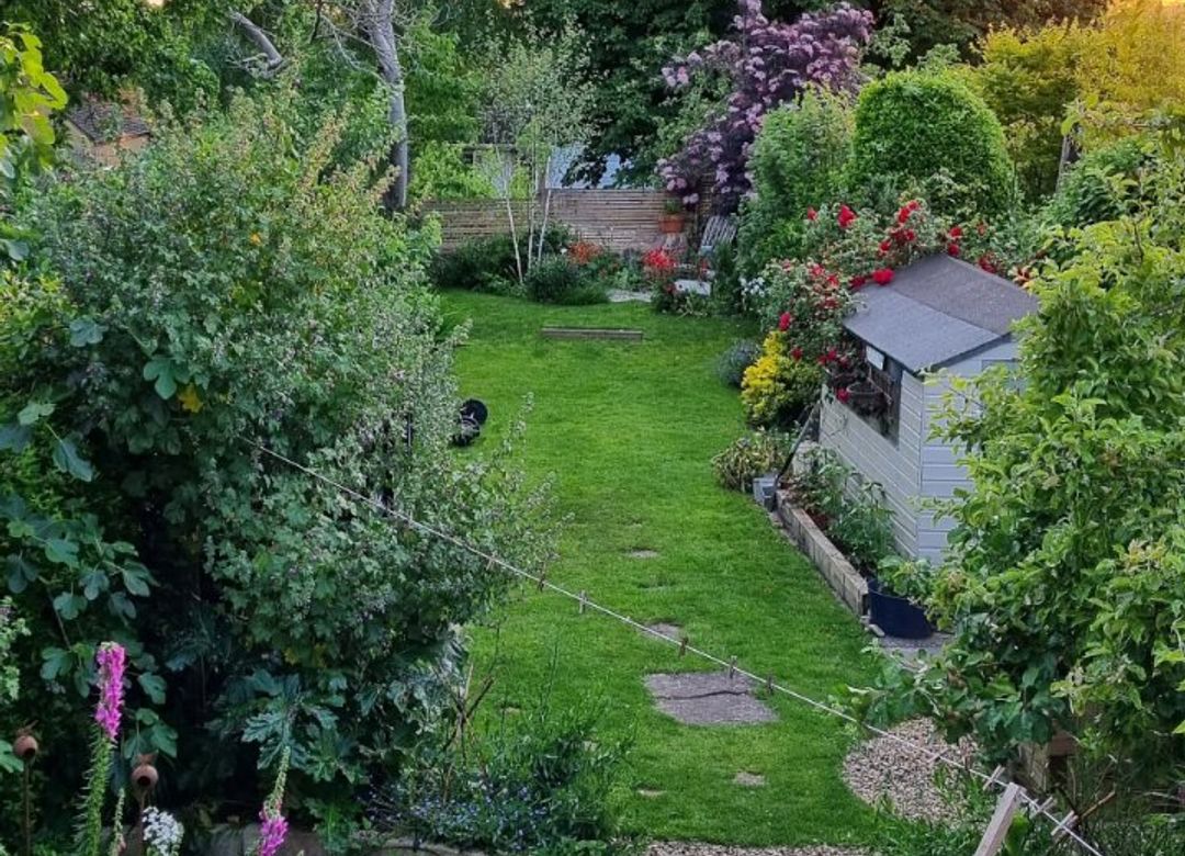 Property Image 20