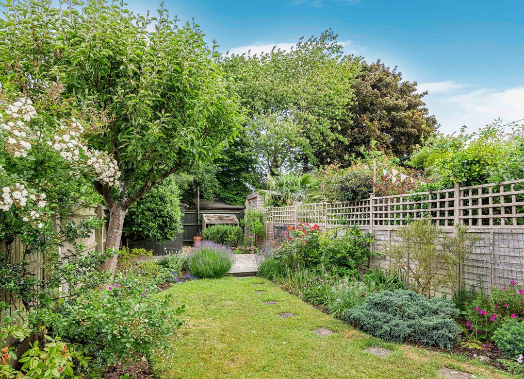 Property Image 14