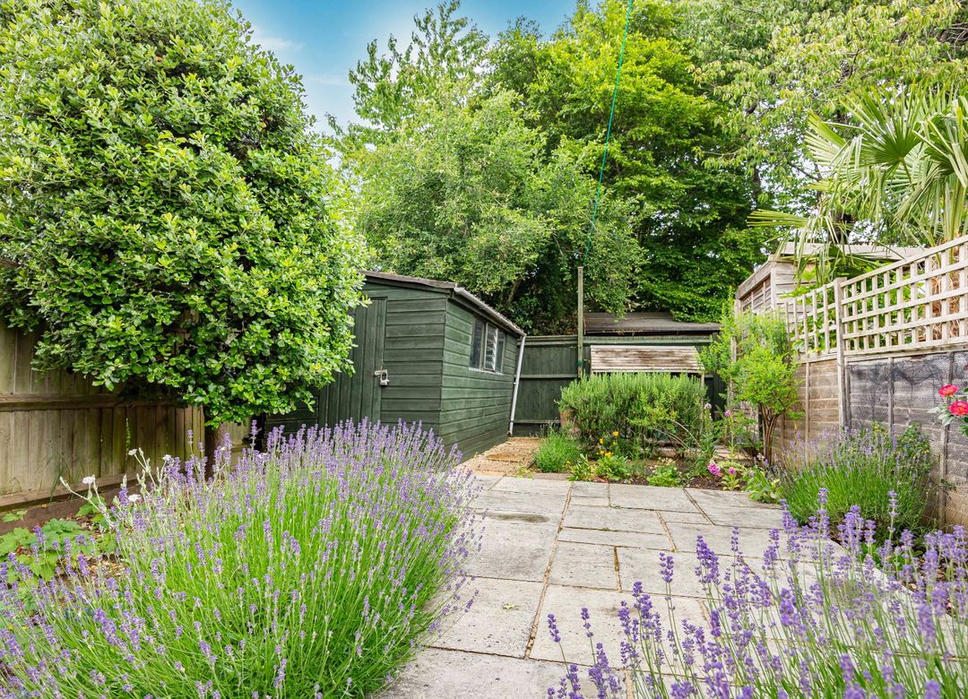 Property Image 15