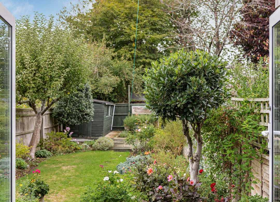 Property Image 13