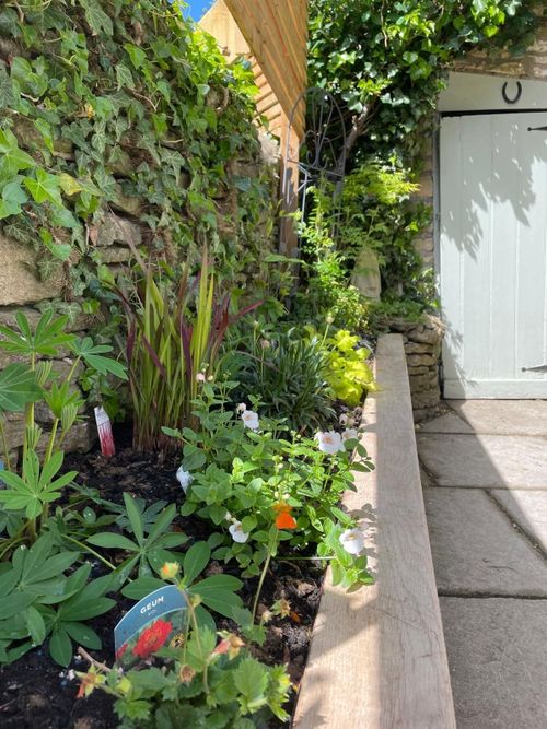 Property Image 22