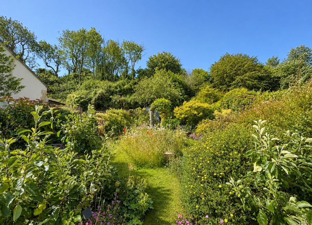 Property Image 9