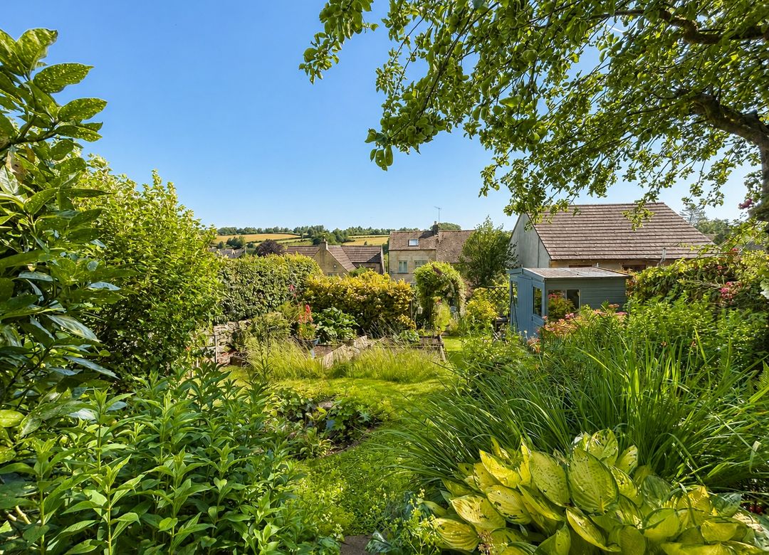 Property Image 0